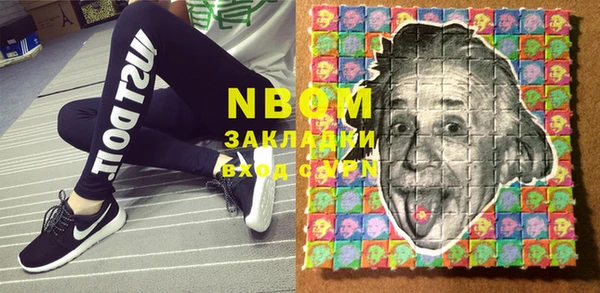 шишки Ельня