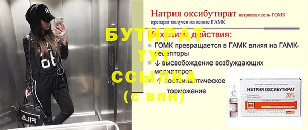 шишки Ельня
