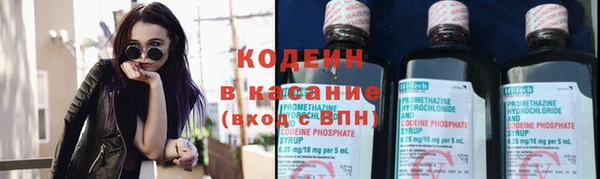 шишки Ельня
