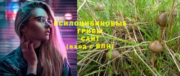 прущий лед Елизово