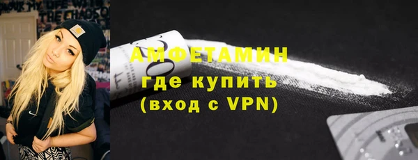 шишки Ельня