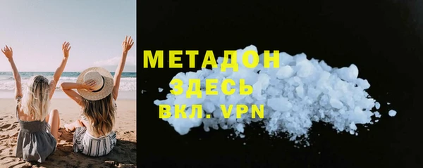 шишки Ельня