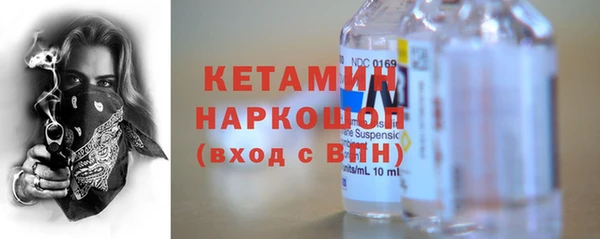 шишки Ельня