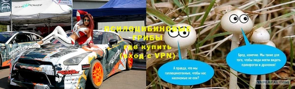 шишки Ельня