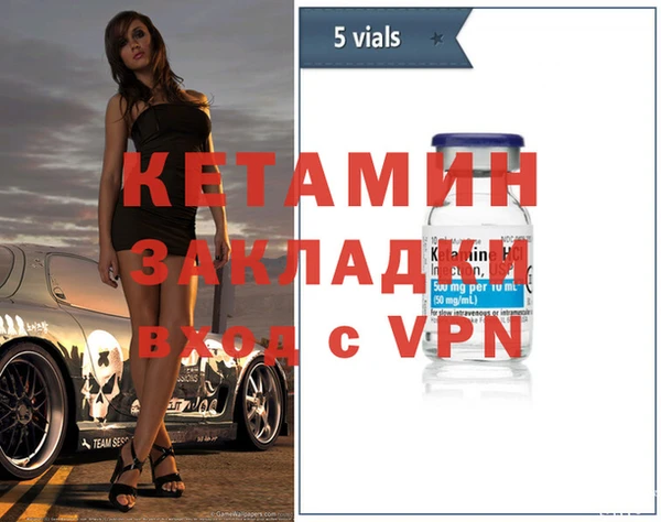 шишки Ельня