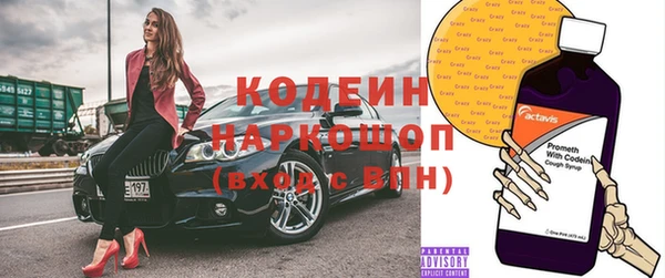 шишки Ельня