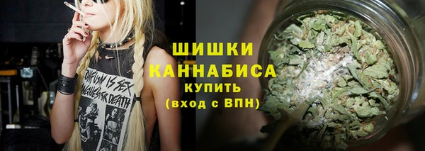 стафф Елабуга