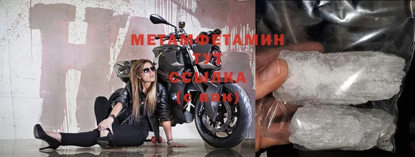 шишки Ельня