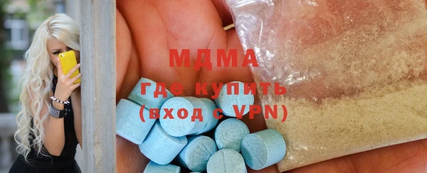 шишки Ельня