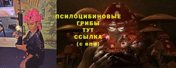 шишки Ельня