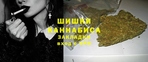 шишки Ельня