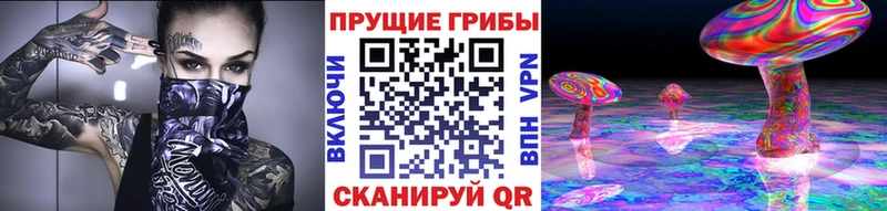 Купить закладки  Южа  Псилоцибиновые грибы ЛСД 